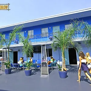 Banana Hollywood & *