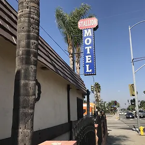 Motel Stallion *